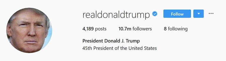 10 Unintentionally Funny Celebrity Instagram Bios