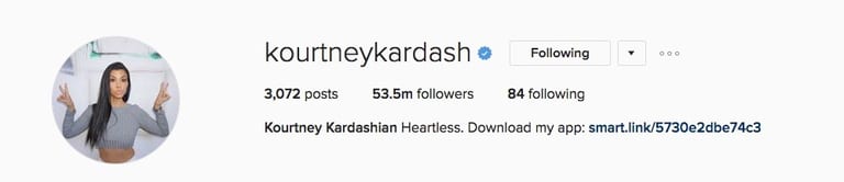 10 Unintentionally Funny Celebrity Instagram Bios