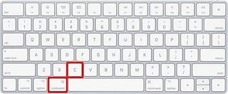 How to Copy and Paste on Mac