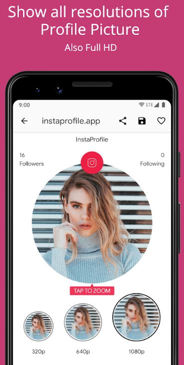 download instagram profile