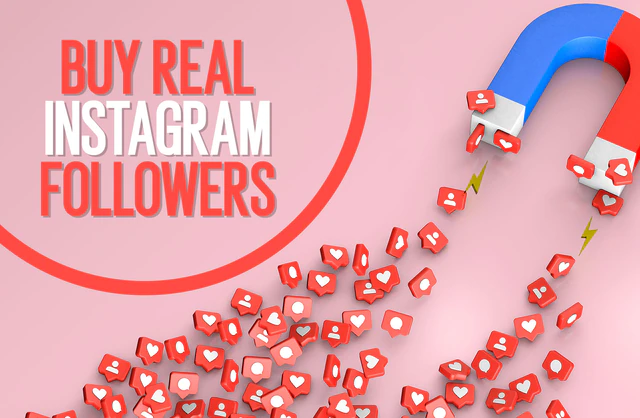 Purchase Instagram Followers and Likes