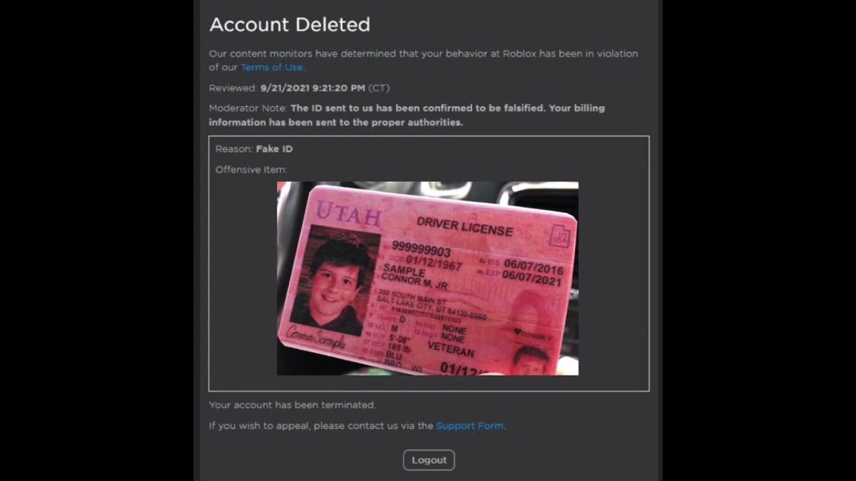 Fake Id For Roblox 2023 How To Find And Use Them Izood