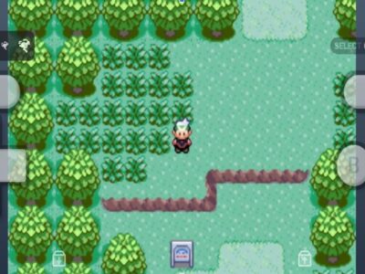 How to Play GBA Games Using ROMs and Emulators?