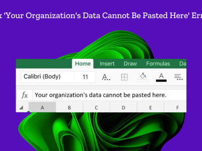 Your Organization’s Data Cannot be Pasted Here.