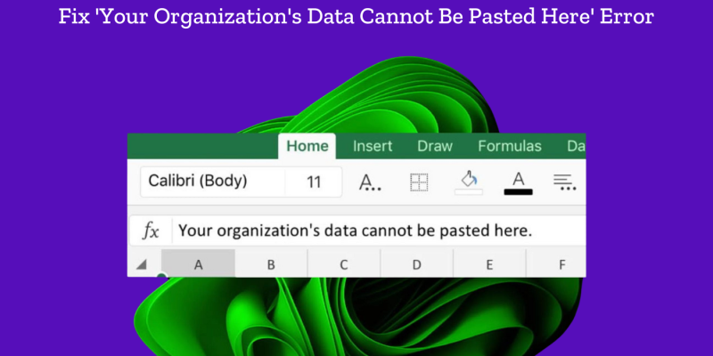 Your Organizations Data Cannot be Pasted Here