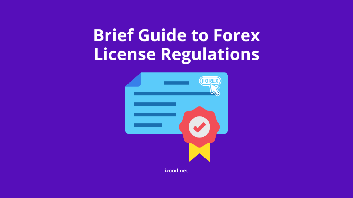 Brief Guide to Forex License Regulations