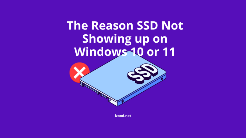 The Reason SSD Not Showing up on Windows 10 or 11