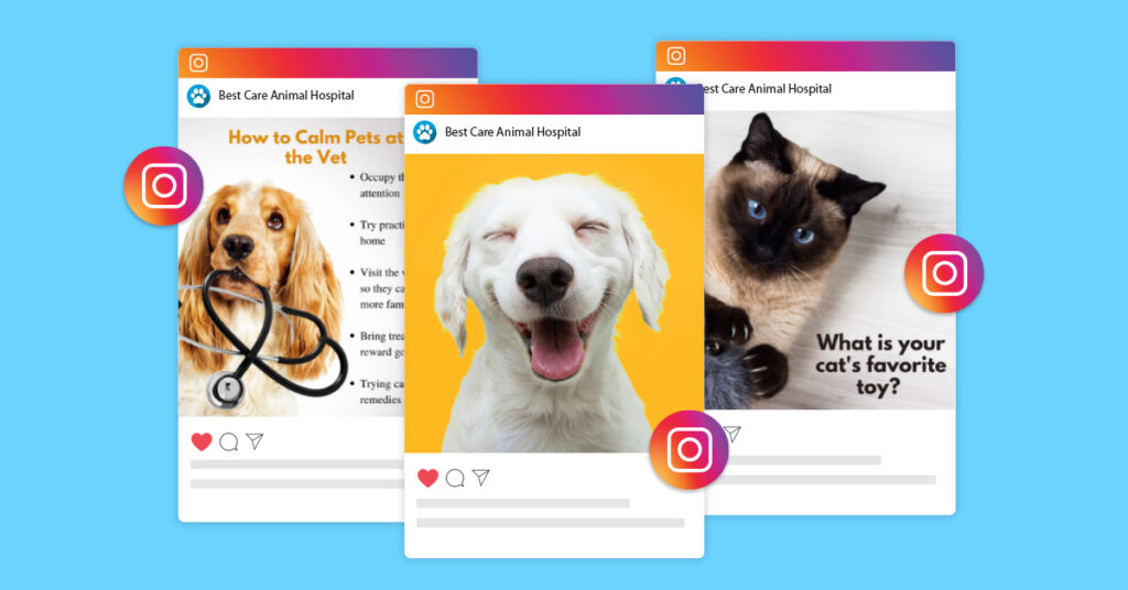 social media for veterinary practices