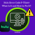 hulu error code p-ts207