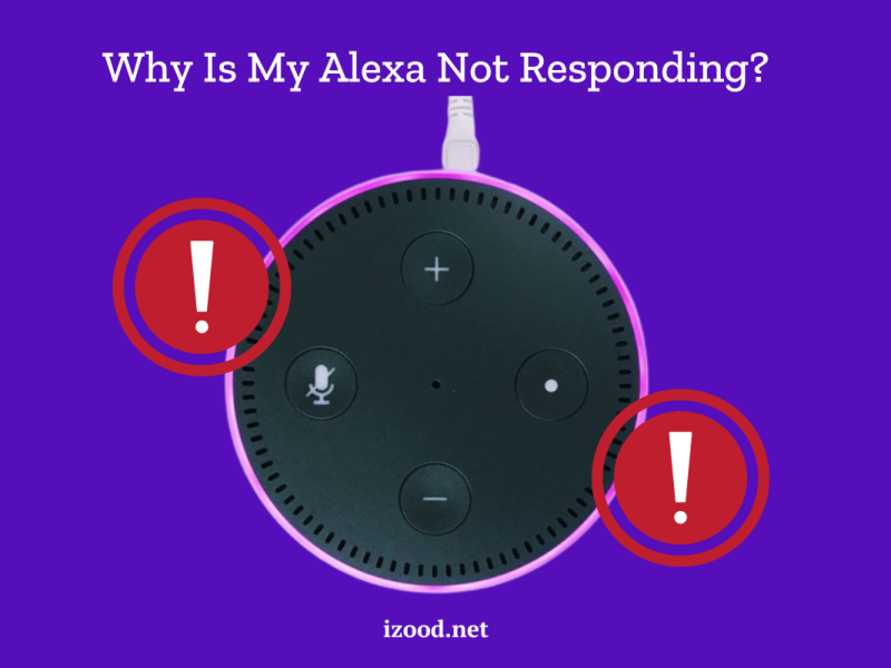 alexa not responding